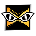 IQ icon